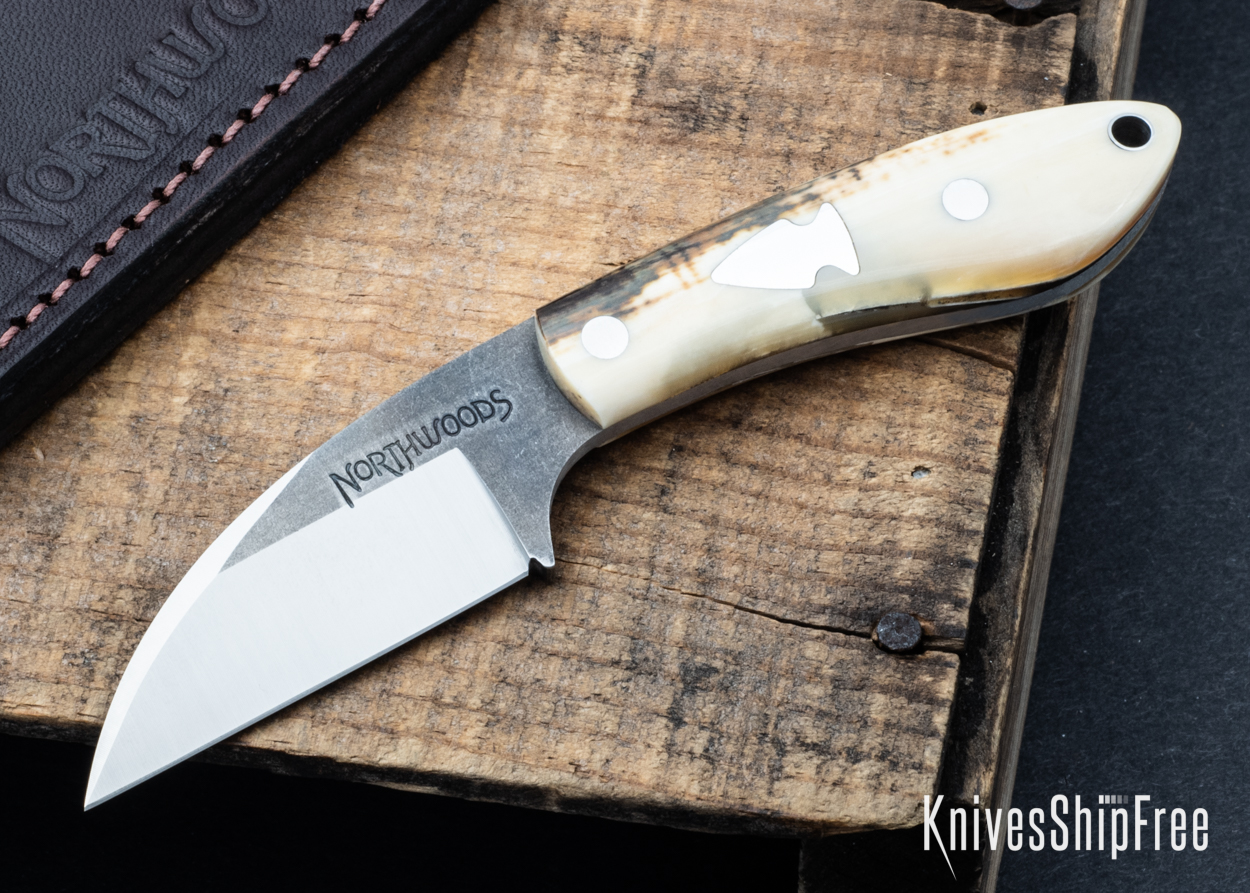 Mammoth Ivory - NW05DI029 (Front)