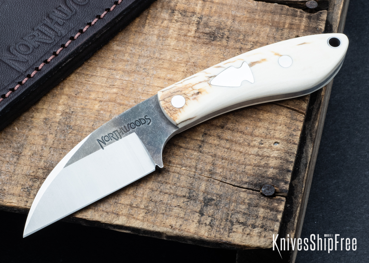 Mammoth Ivory - NW05DI032 (Front)