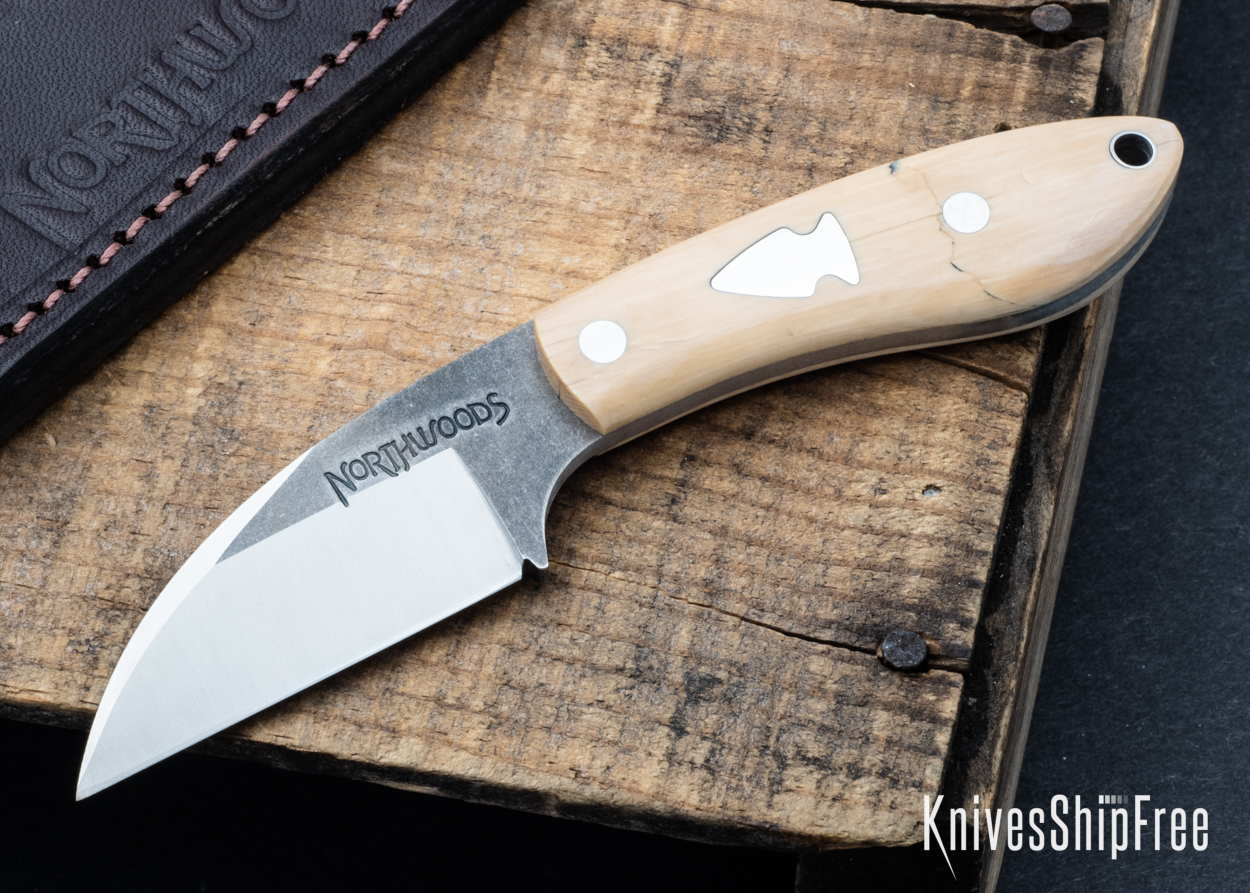 Mammoth Ivory - NW05DI033 (Front)