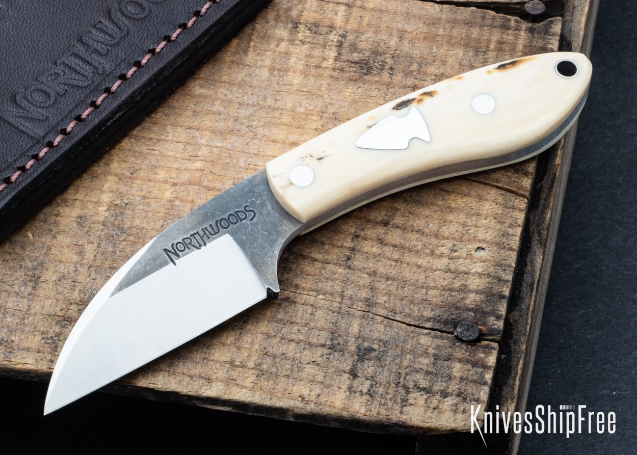 Mammoth Ivory - NW05DI048 (Front)