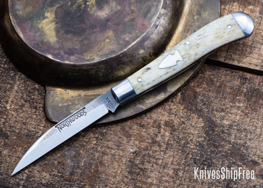 Camel Bone - NW15DJ018 (Front)