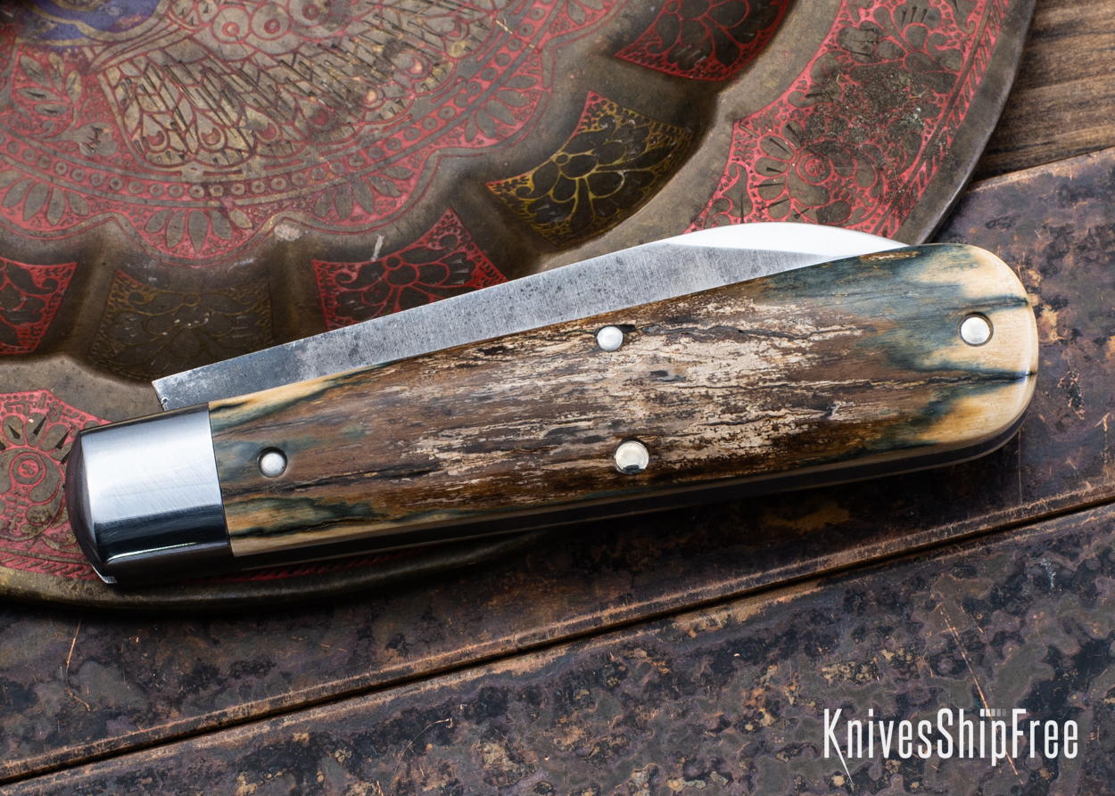 Mammoth Ivory - NW18HI100 (Back)