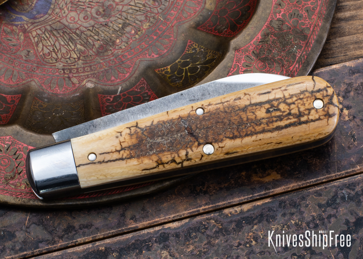 Mammoth Ivory - NW18HI103 (Back)