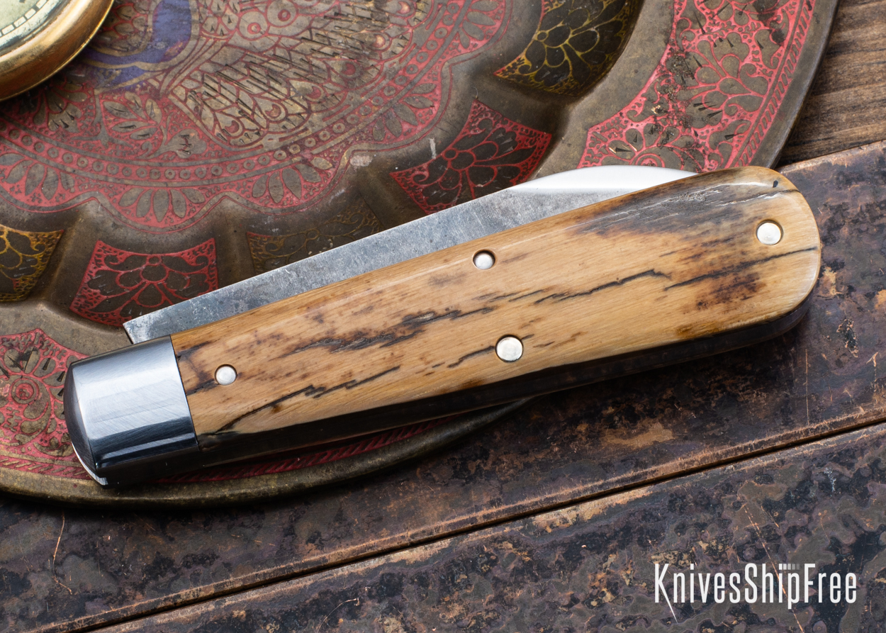 Mammoth Ivory - NW18HI027 (Back)