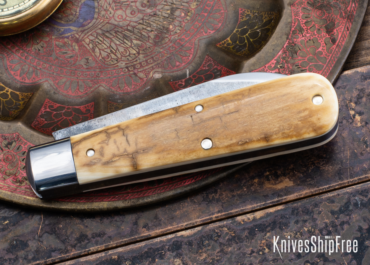 Mammoth Ivory - NW18HI003 (Back)