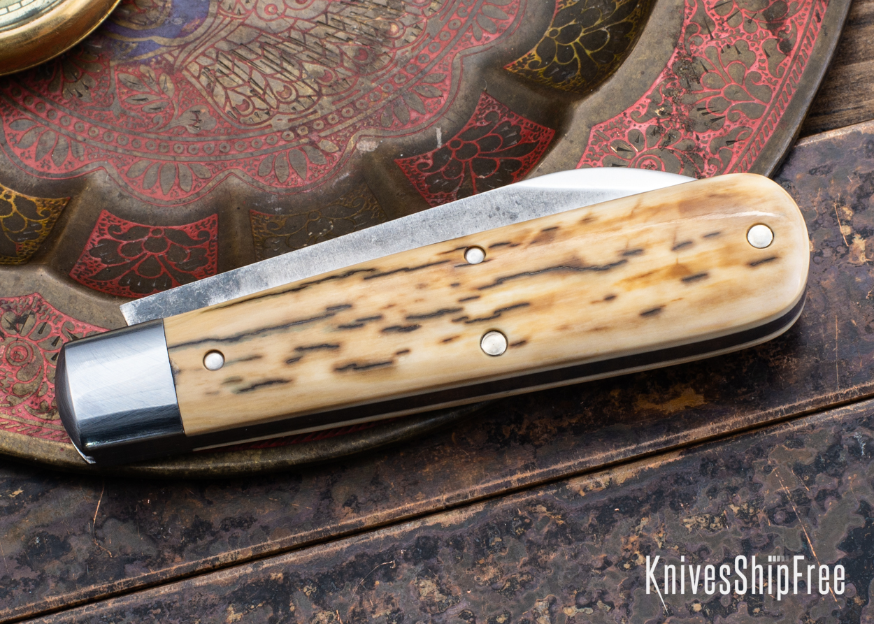 Mammoth Ivory - NW18HI033 (Back)