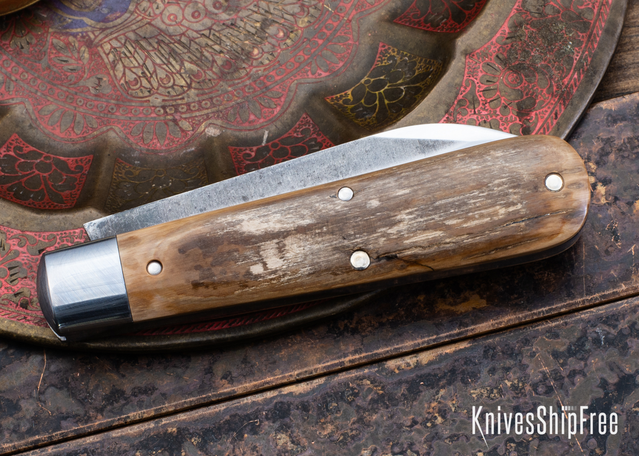 Mammoth Ivory - NW18HI080 (Back)