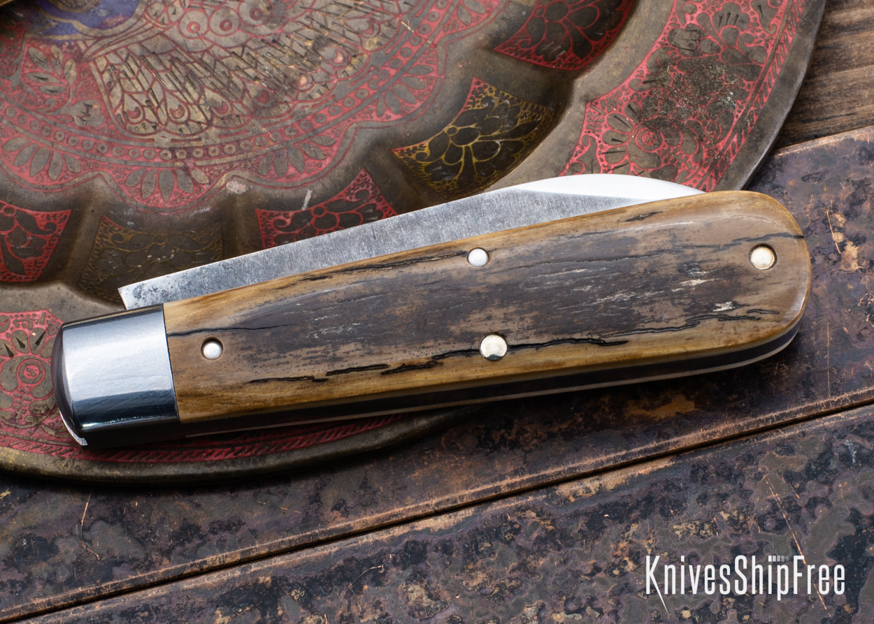 Mammoth Ivory - NW18HI092 (Back)