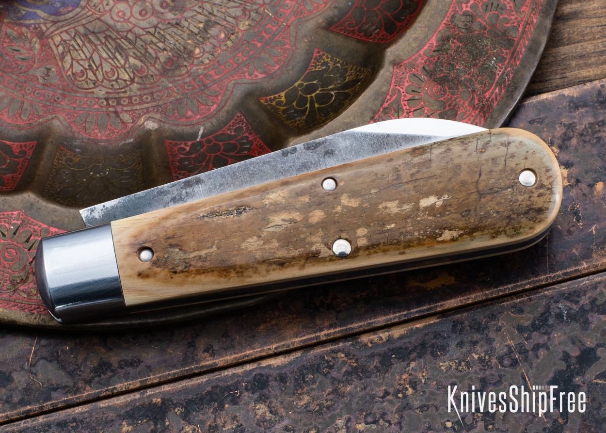 Mammoth Ivory - NW18HI097 (Back)