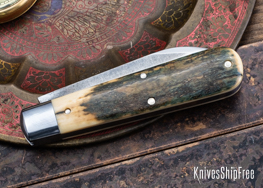Mammoth Ivory - NW18HI010