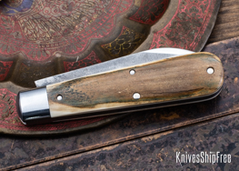 Mammoth Ivory - NW18HI095