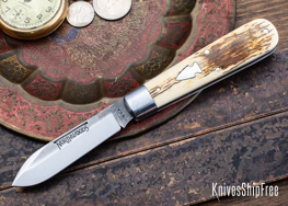Mammoth Ivory - NW18HI096