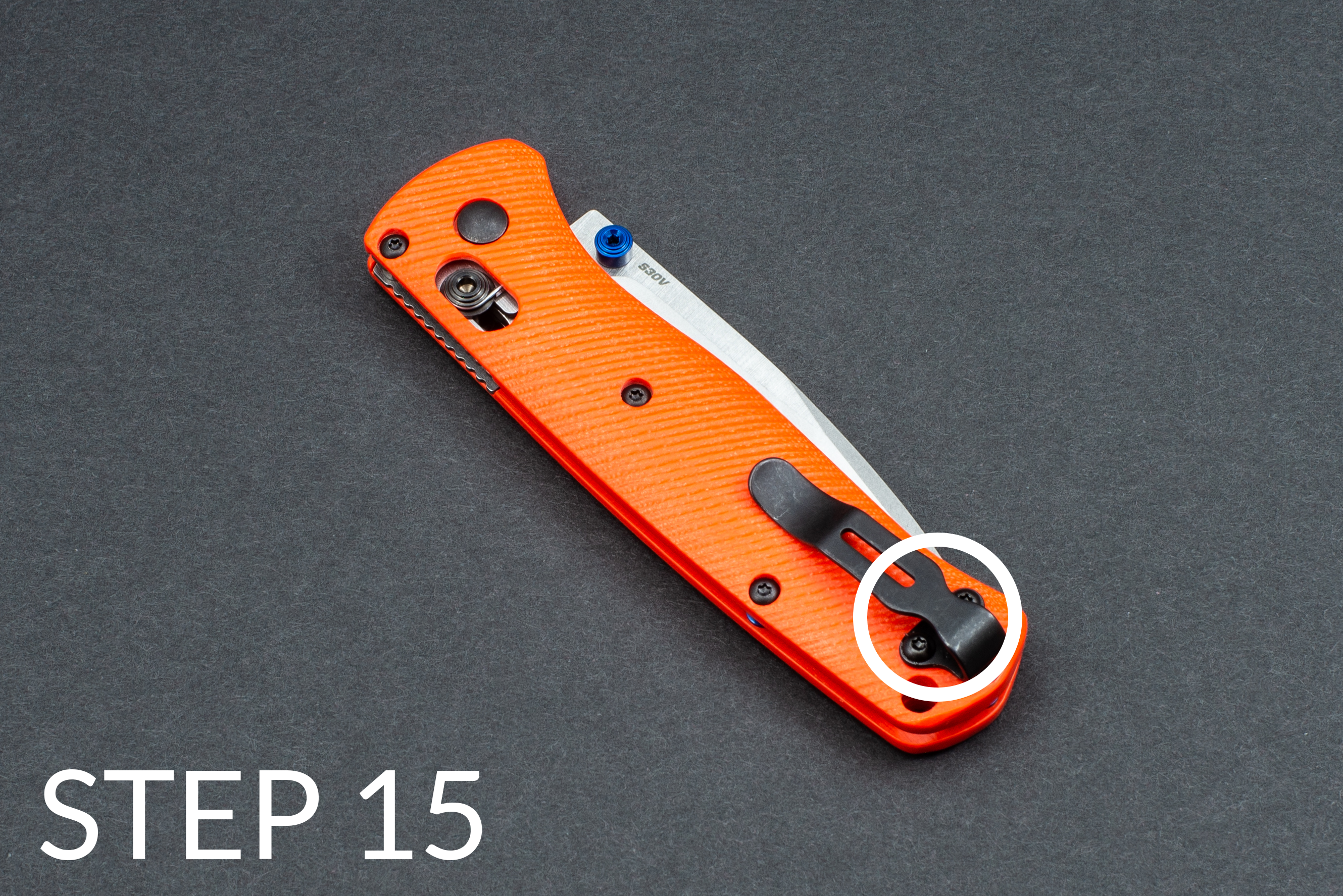 bugout-scales-step-15.png bugout-scales-step-15.png