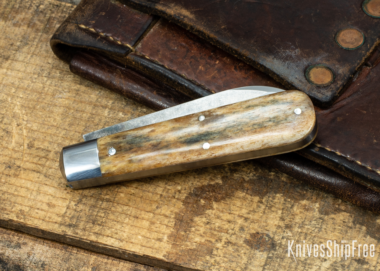 Giraffe Bone 123