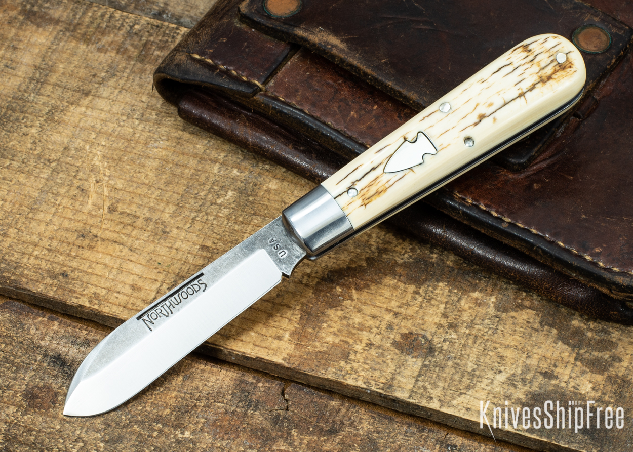 Mammoth Ivory 05