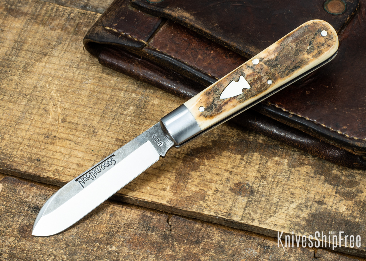 Mammoth Ivory 09