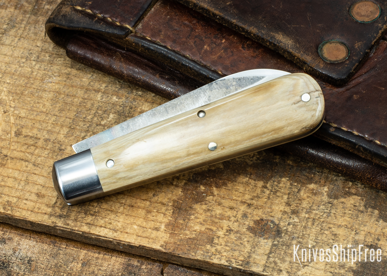 Mammoth Ivory 04