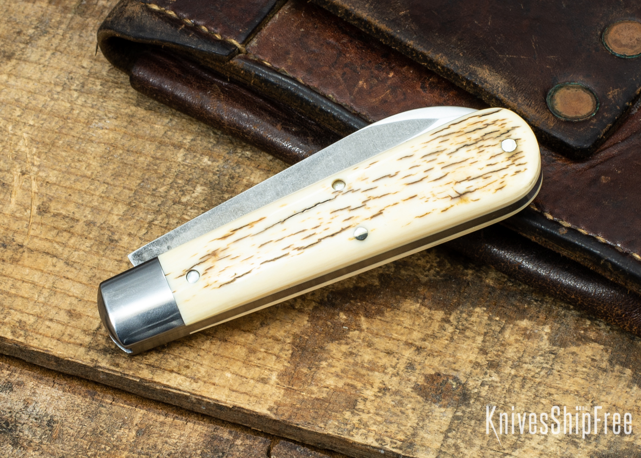 Mammoth Ivory 05
