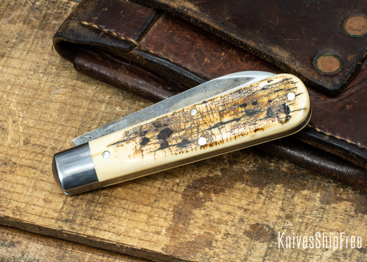 Mammoth Ivory 07