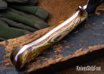 Storm Sassafras - Orange Liners - LH24HI068 (Liners)