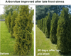 Revive® Micronized BioChar