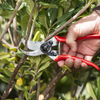 Felco 2 hand pruner