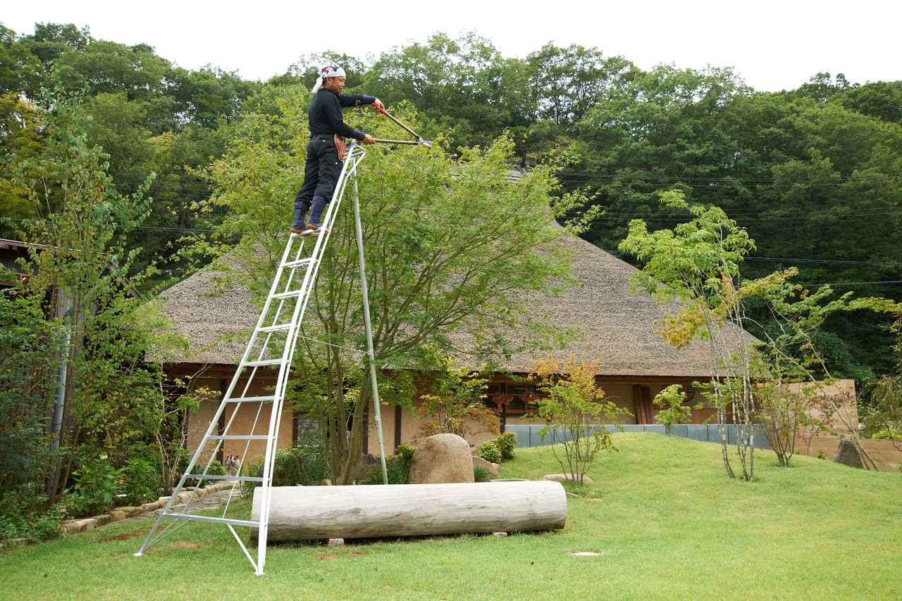 Hasegawa Tripod Ladder