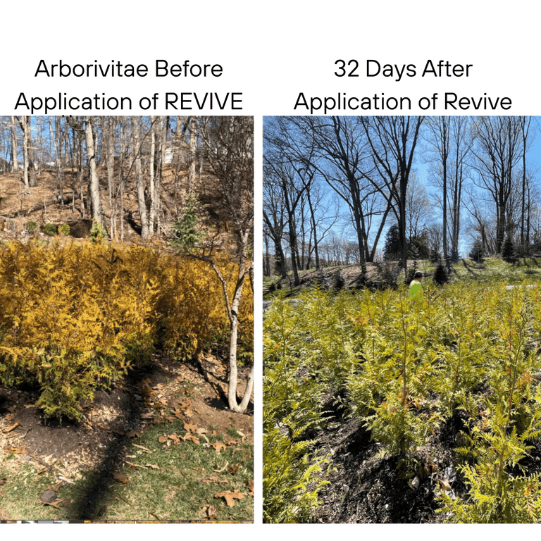 Revive® Micronized BioChar