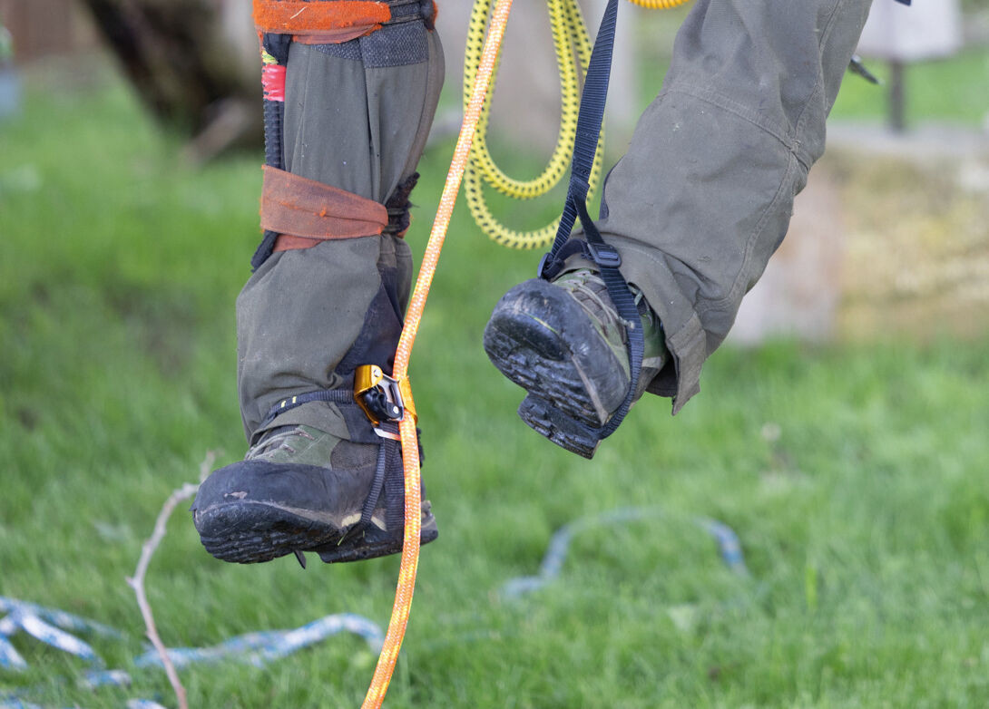 Petzl Pantin Click Foot Ascender