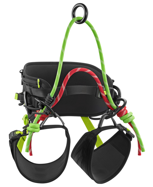 Edelrid TreeRex Triple Lock Climbing Harness