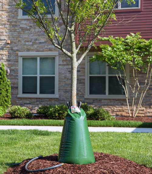 Treegator Drip Irrigation Bag