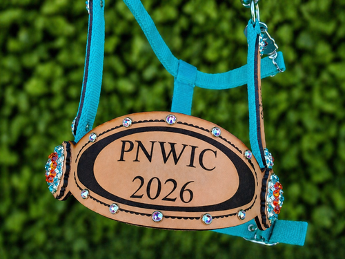 BEST SELLER! Personalized Bronc Halter with Personalized Cheeks