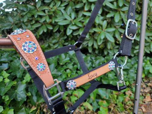 Gray Bronc Halter – Melissa's Custom Conchos