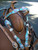 Mega Bling Scallop Browband Headstall