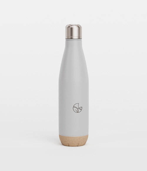 Stainless Steel Bottle