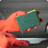 Kitchen Hygiene