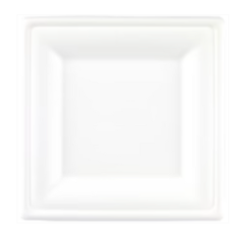 Bagasse 10" Square Plate x 250
