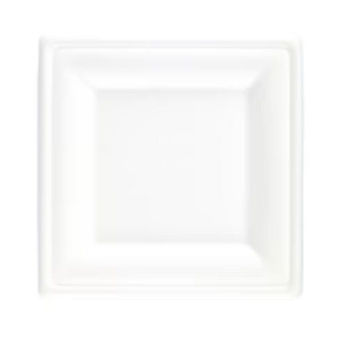 Bagasse 8" Square Plate x 125