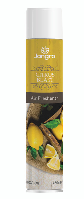 Giant Air Freshener Aerosol 750ml