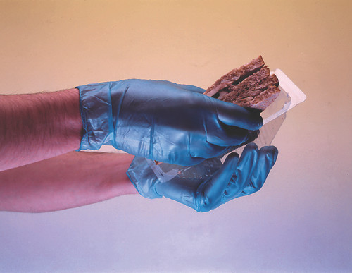 Vinyl Gloves Blue Powderfree