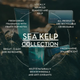 Sea Kelp Conditioner