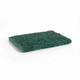Scouring Pad Green 15 x 10cm x 20