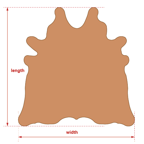 cowhide-measurement-480x480-1.png