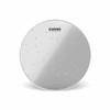 Evans Hydraulic Glass Drum Head, 10 Inch
