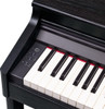 Roland RP-701 Charcoal Black card