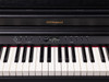 Roland RP-701 Charcoal Black card