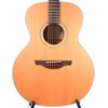 Takamine GS430S Acoustic Guitar w/GigBag USED