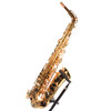 Selmer SAS411 Intermediate Alto Saxophone Outfit