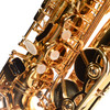 Selmer SAS411 Intermediate Alto Saxophone Outfit