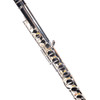 AF570-S Alto Flute